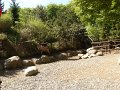 zoo 067
